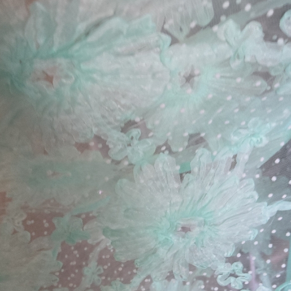 Mint Green Lace Sleeveless Dress - Picture 6 of 6